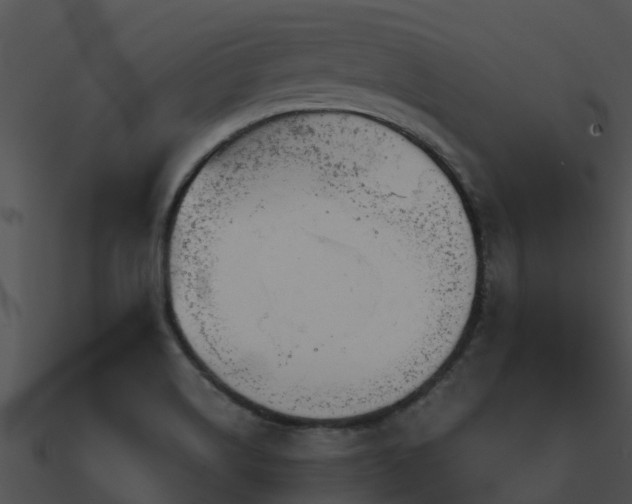 X0000090991514200708021511