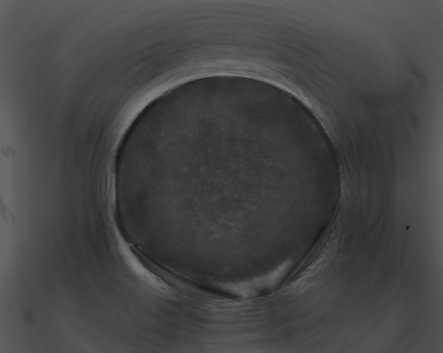 X0000090991515200708021511
