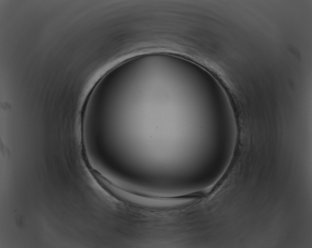 X0000090991516200708021511