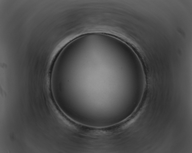 X0000090991517200708021511