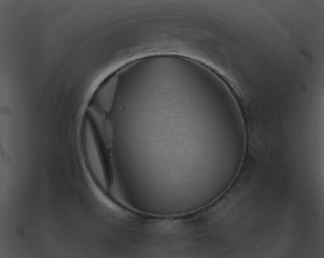X0000090991519200708021511