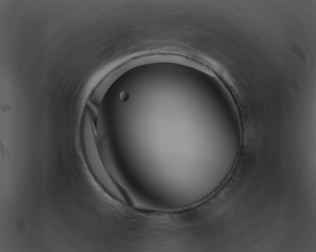 X0000090991520200708021511