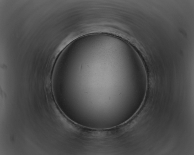 X0000090991521200708021511