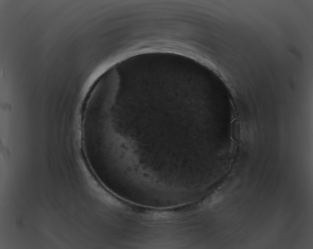X0000090991522200708021511