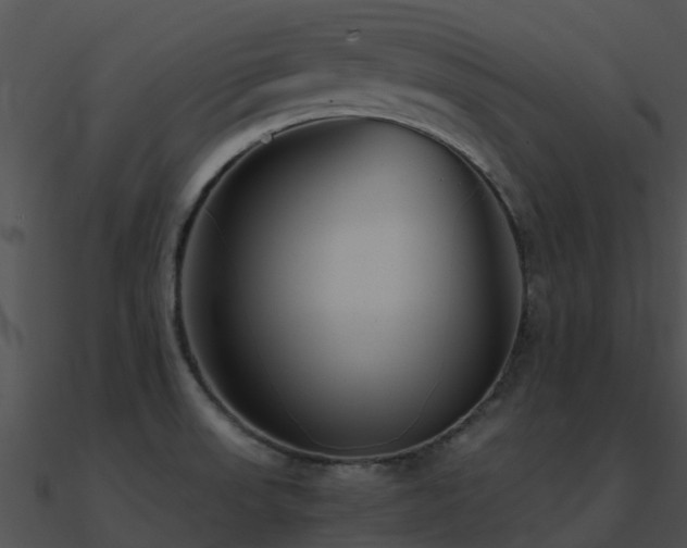 X0000090991523200708021511