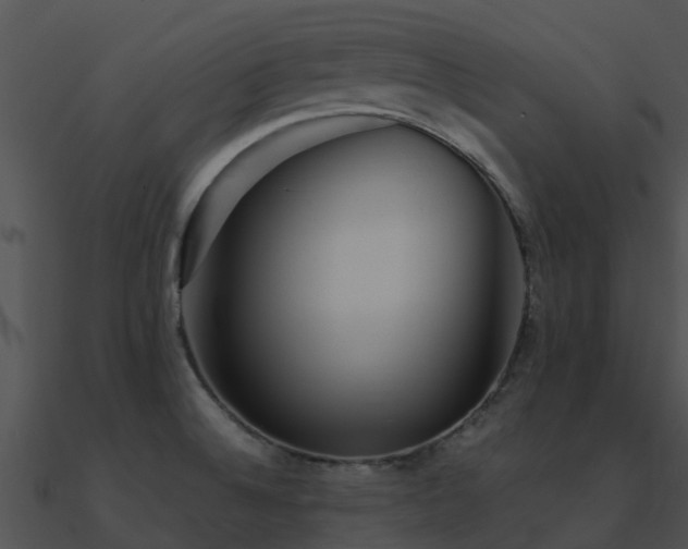 X0000090991524200708021511