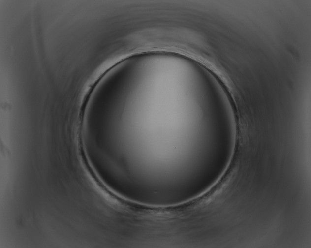 X0000090991525200708021511