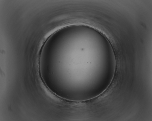 X0000090991526200708021511