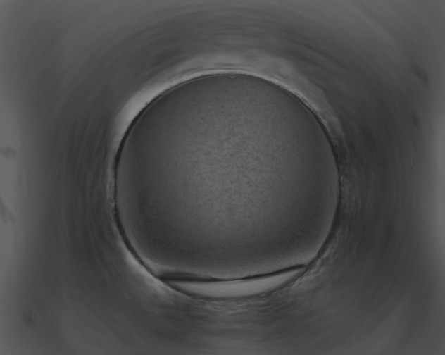 X0000090991527200708021511