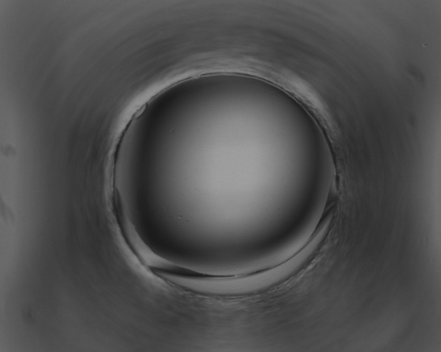 X0000090991528200708021511