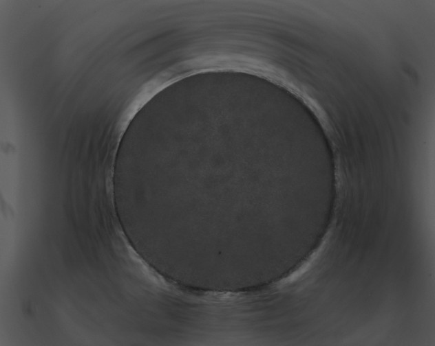 X0000090991529200708021511