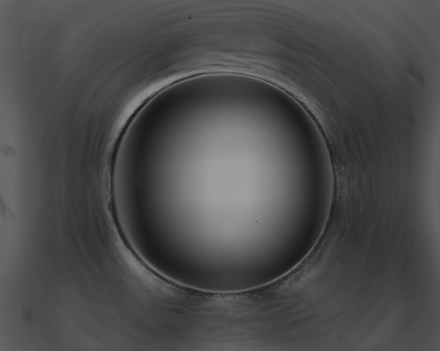 X0000090991531200708021511