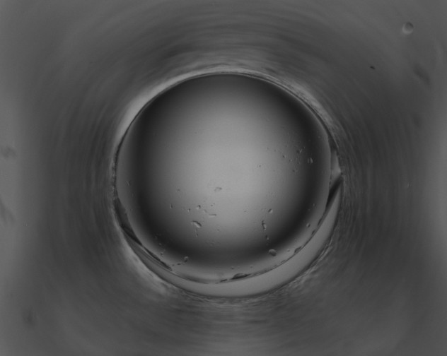 X0000090991532200708021511