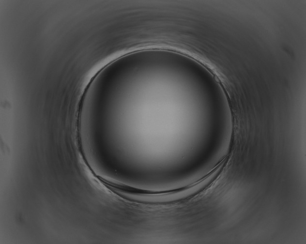 X0000090991534200708021511