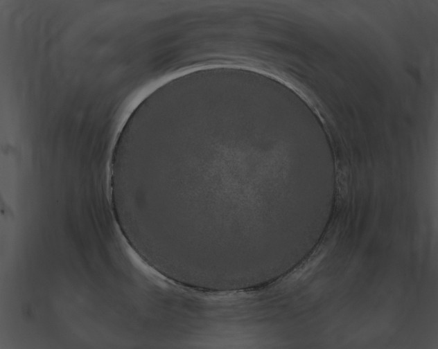 X0000090991535200708021511