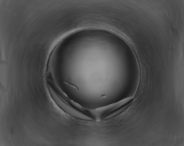 X0000090991536200708021511