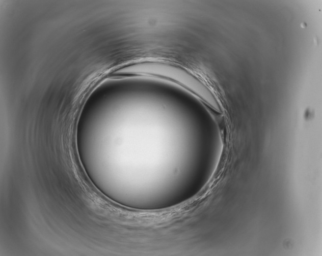 X0000090990001200708091528