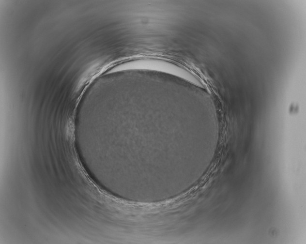 X0000090990002200708091528