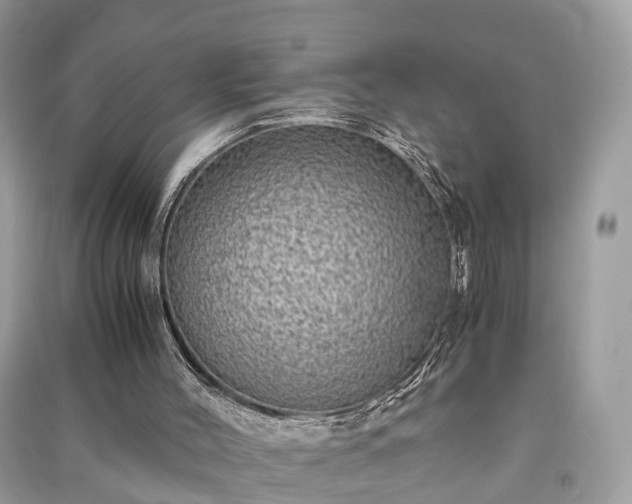 X0000090990004200708091528