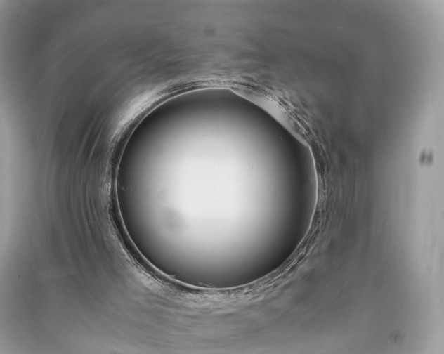 X0000090990005200708091528