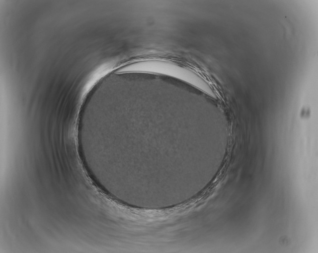 X0000090990006200708091528