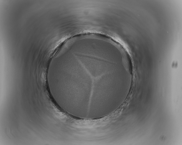 X0000090990009200708091528