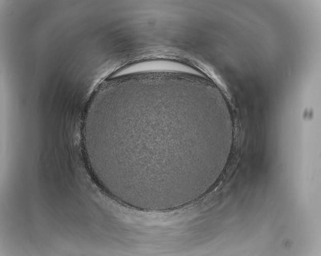 X0000090990010200708091528