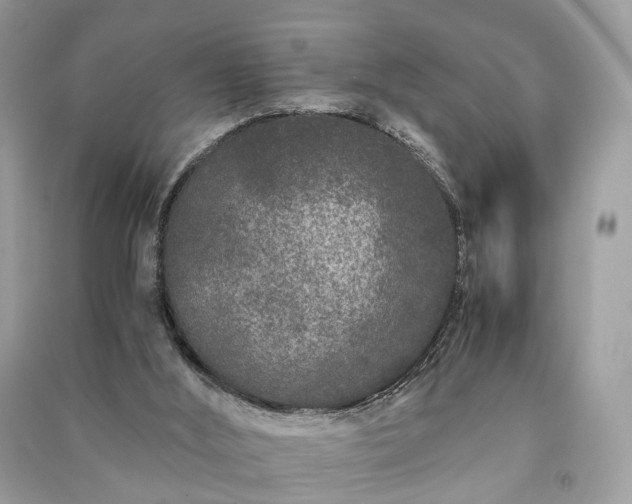 X0000090990012200708091528