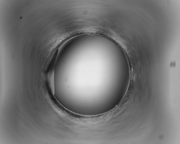 X0000090990013200708091528