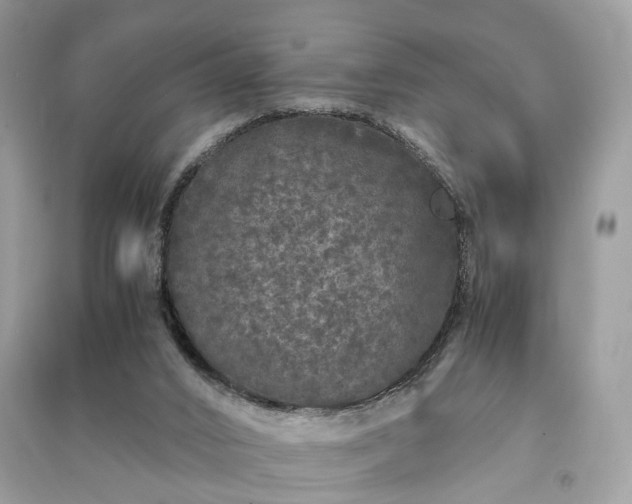 X0000090990016200708091528