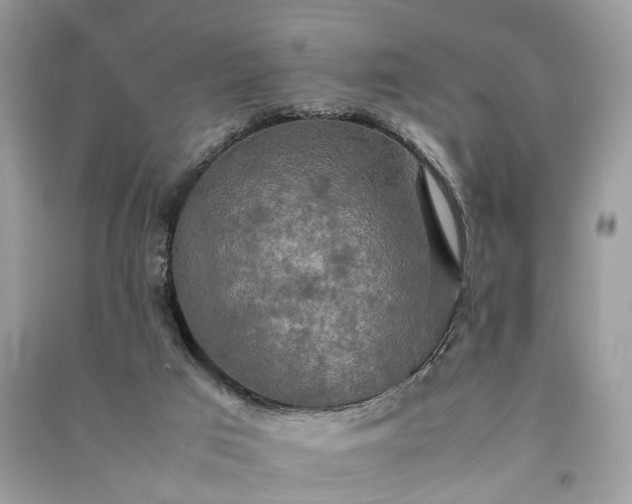 X0000090990017200708091528