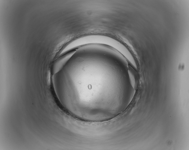 X0000090990019200708091528