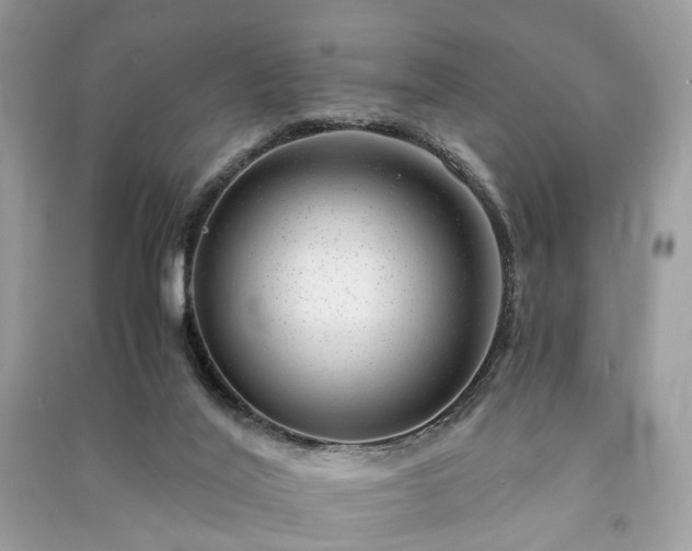 X0000090990020200708091528