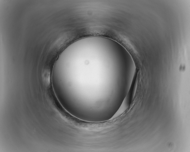 X0000090990021200708091528