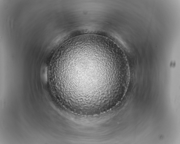 X0000090990022200708091528