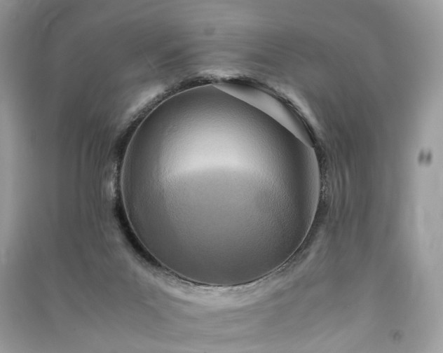 X0000090990023200708091528