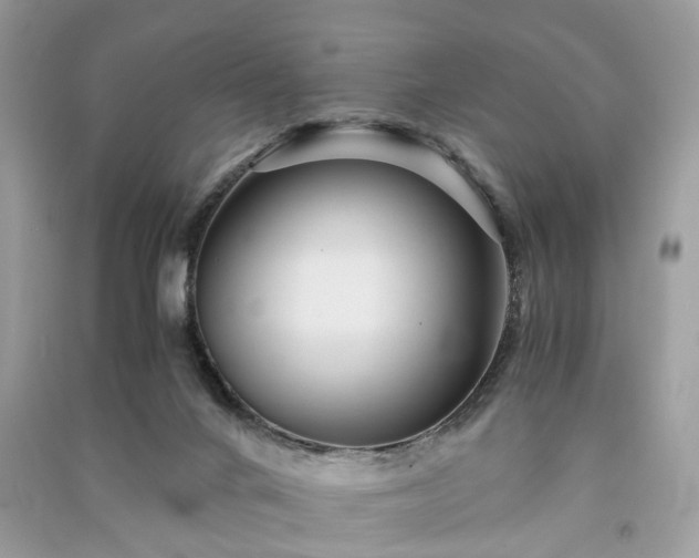 X0000090990024200708091528