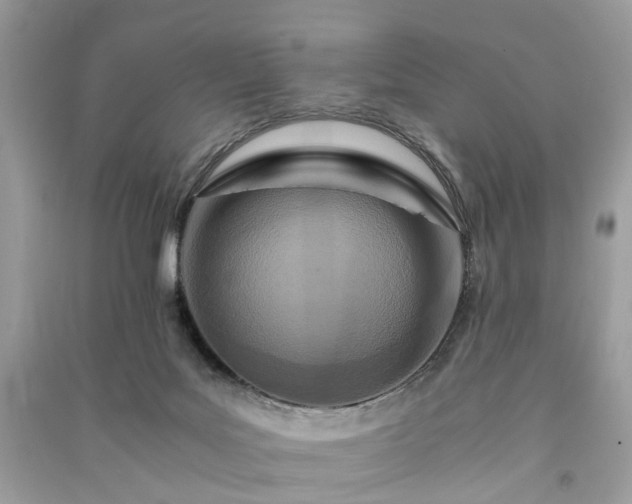 X0000090990027200708091528