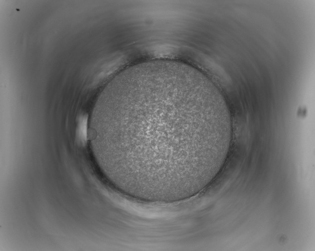 X0000090990028200708091528