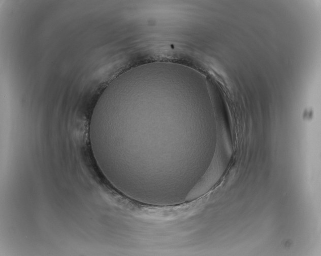 X0000090990029200708091528