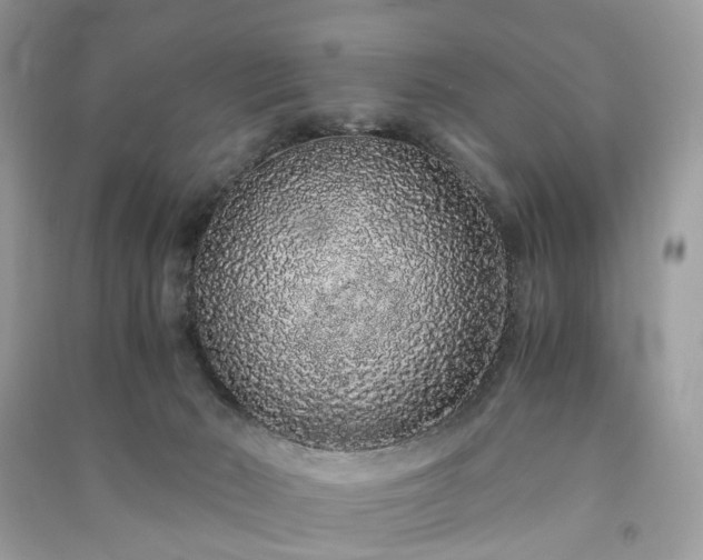 X0000090990030200708091528