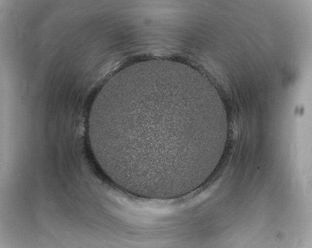 X0000090990032200708091528