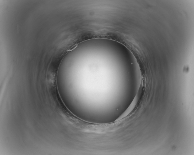 X0000090990033200708091528