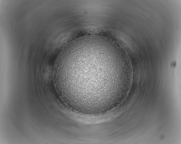 X0000090990034200708091528