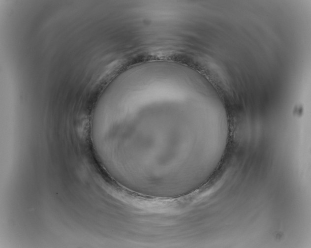 X0000090990036200708091528