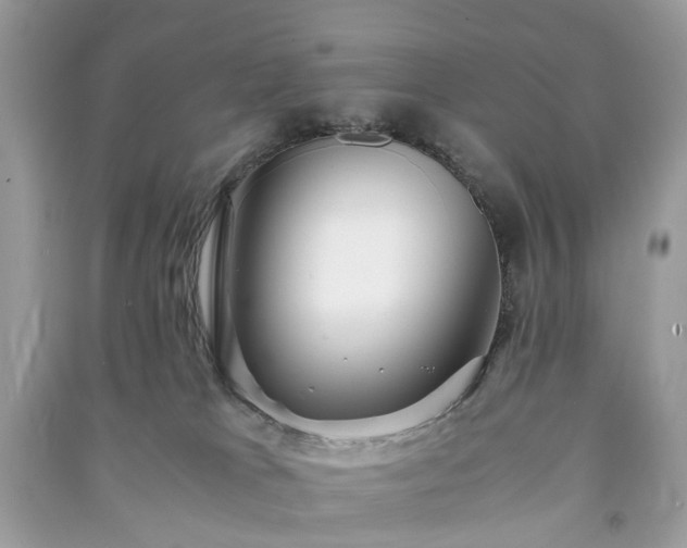 X0000090990037200708091528