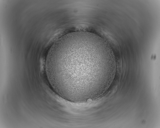 X0000090990038200708091528