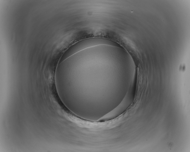 X0000090990039200708091528