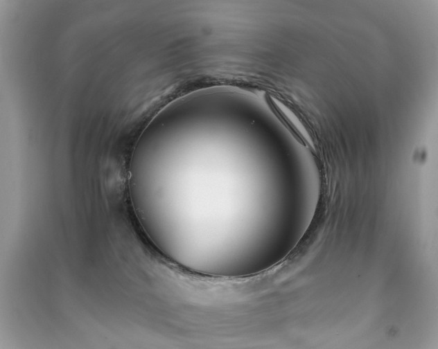 X0000090990040200708091528