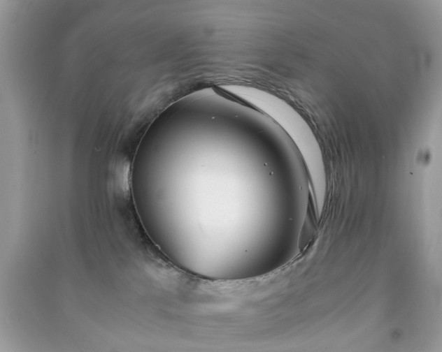 X0000090990041200708091528